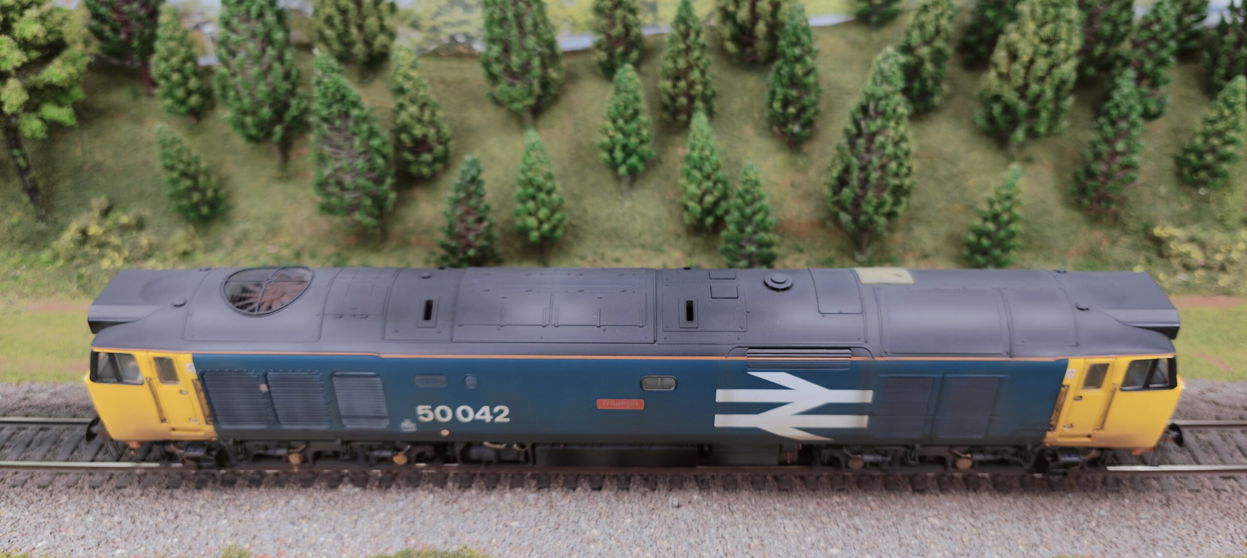 OO gauge diesel class 50042 medium 6 OO gauge diesel class 50042 medium 6